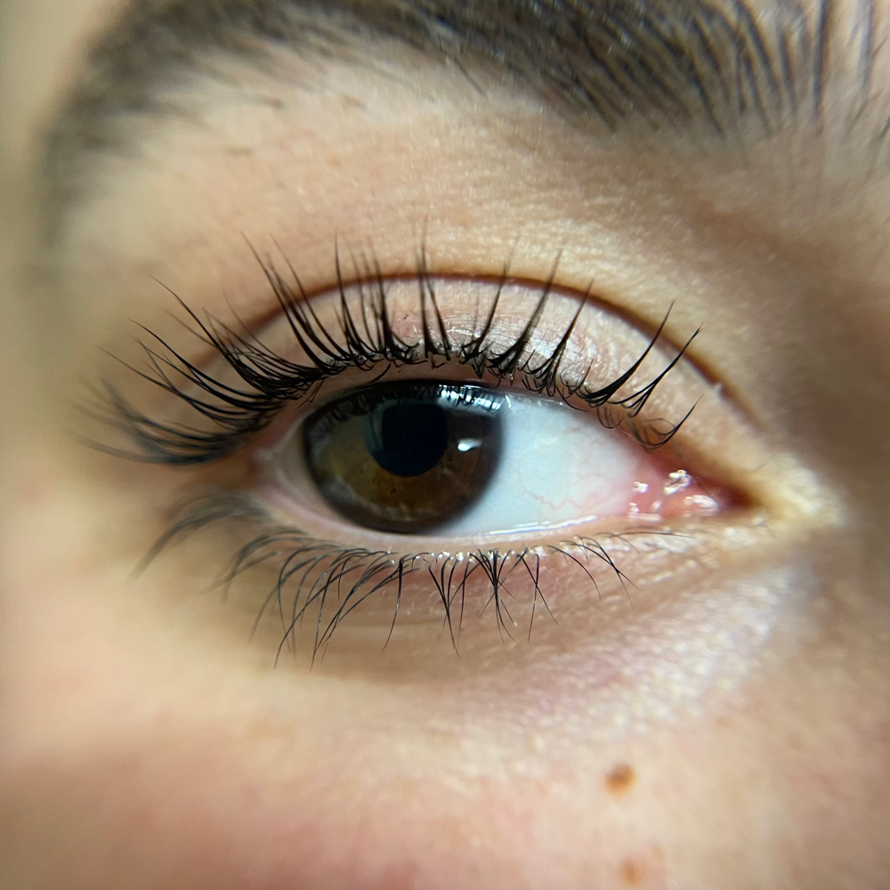Lash Lift & Tint