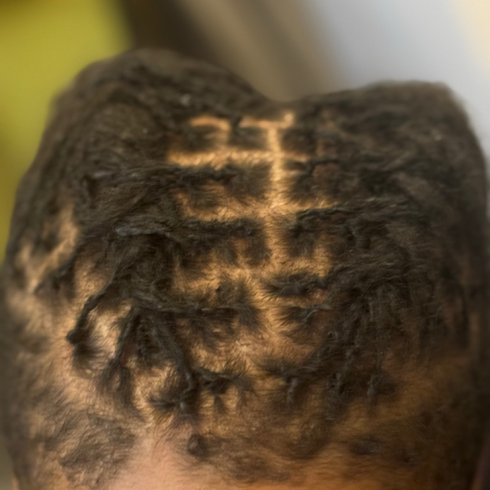 Kid's Loc Retwist (up to 10yr old) at Locology llc in Suffolk, VA