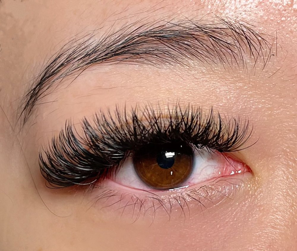 hybrid(2 week fill)