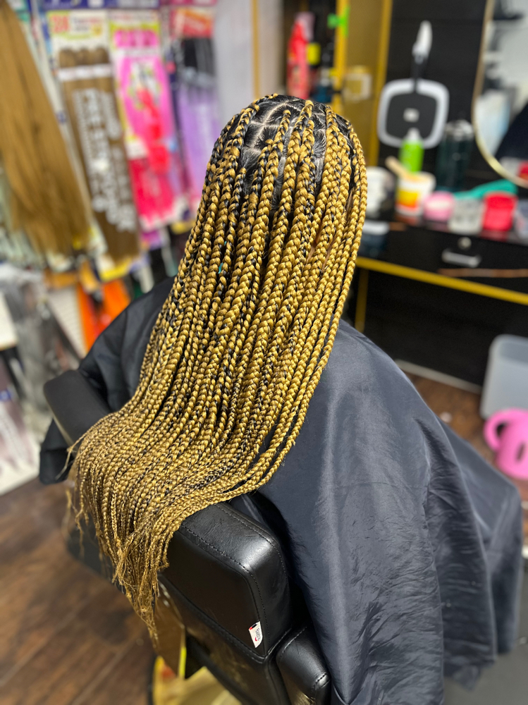 Medium Box Braids