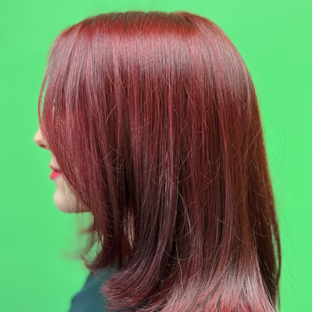 All Over Color at Starling Hair Studio in Schaumburg, IL