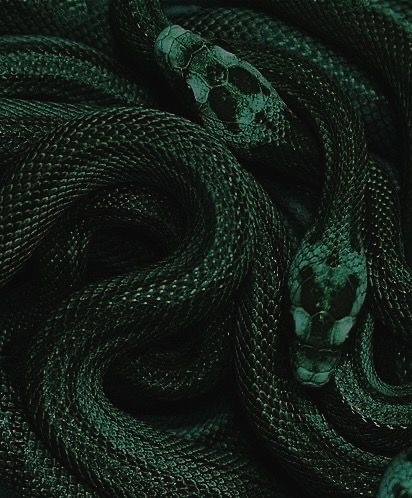 Add on cut at Hair By Shelbs in Marshall, TX