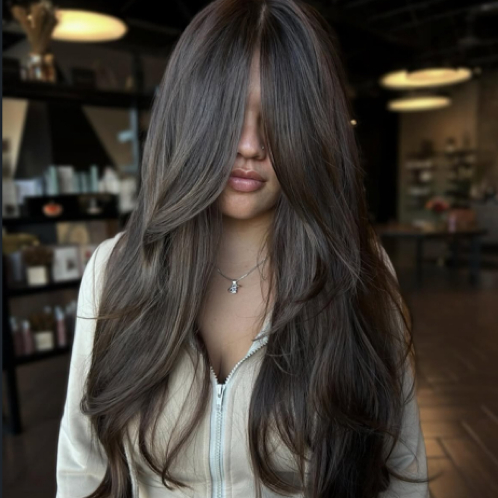All Over Color at Hairbyamelia in Clinton Township, MI