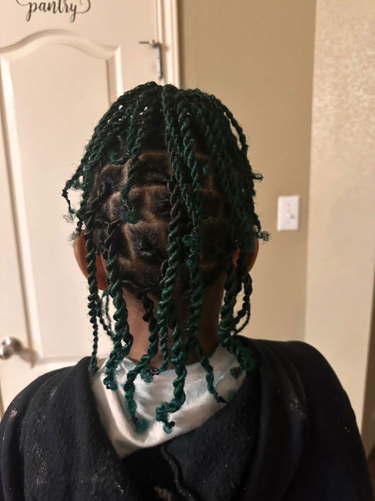 Starter Locs (2 Strand)