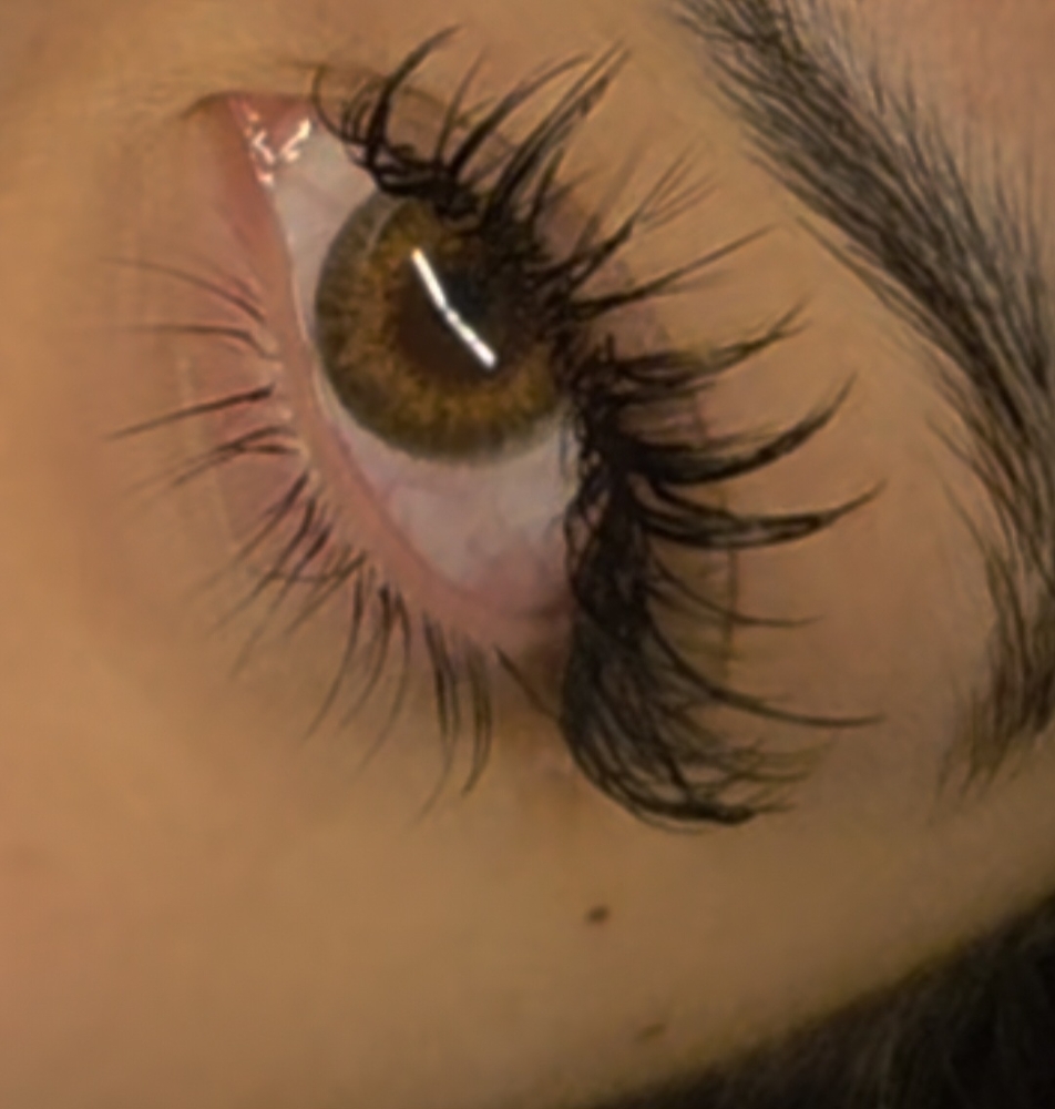 + Add On Bottom Lashes