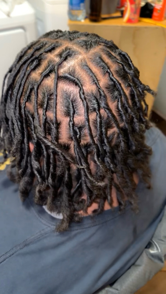 Starter Locs