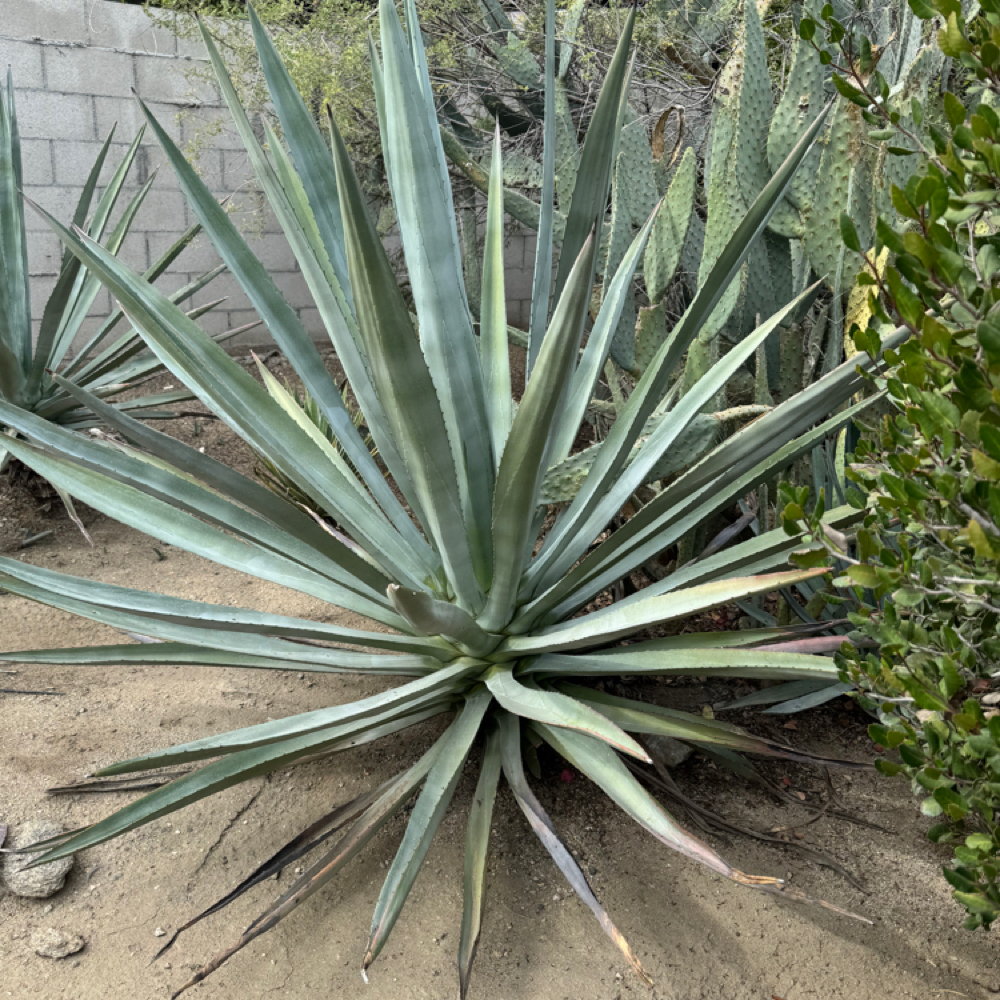 Keratherapy Glow up Special at Indigo Salon @ Beaumont in Lexington, KY