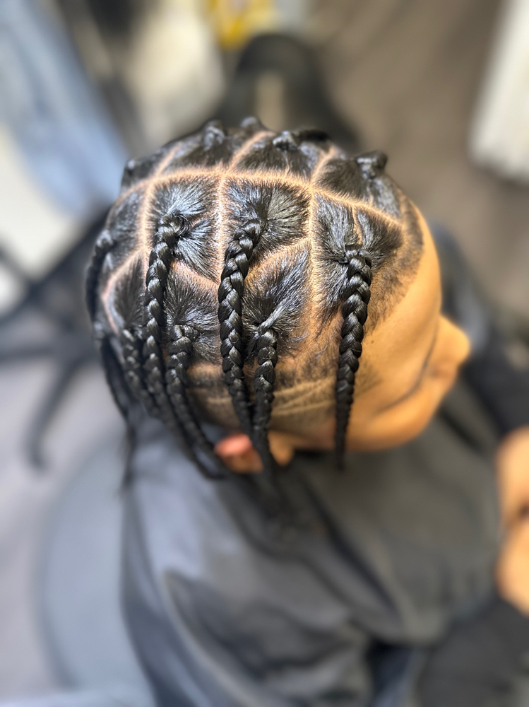 Natural Box Braids/plaits