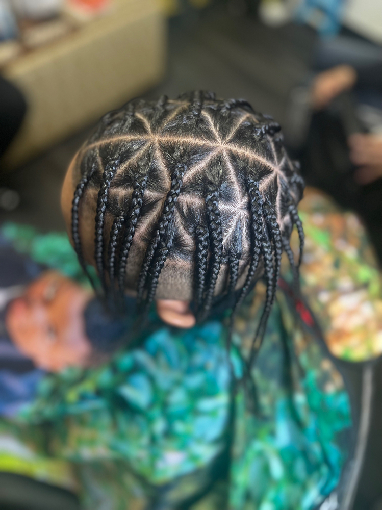 Natural Box Braids/plaits