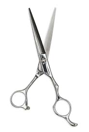 Haircut Service (Natural Hair)