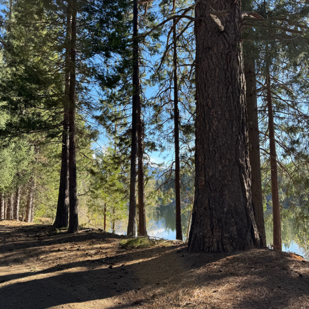 Art of Restoration (Self Massage) at “Art Of Circulation” in Mount Shasta, CA