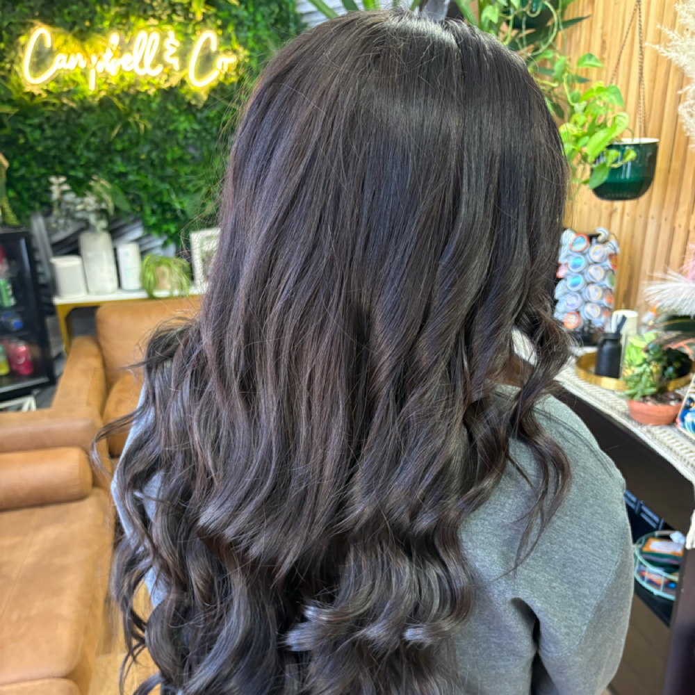 Root Retouch TO-GO at Monica Busch Beauty in Reno, NV