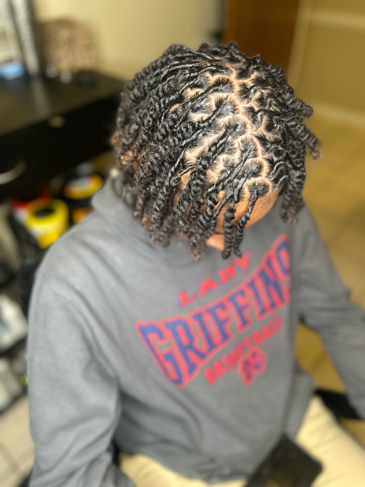 Starter Locs ( Two Strand Twist )