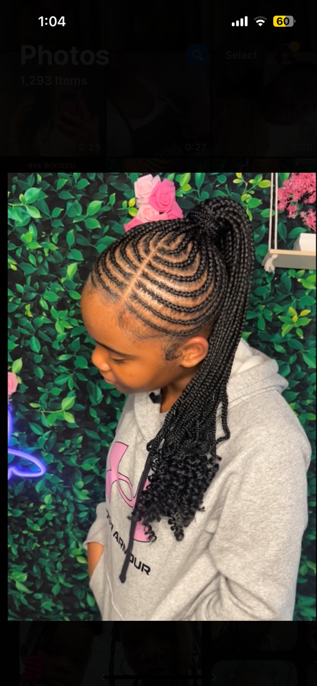Braided Ponytail