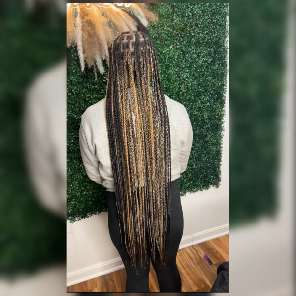 Passed Waist  Medium  braids