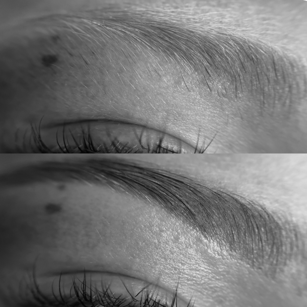 Brow Wax & Tint