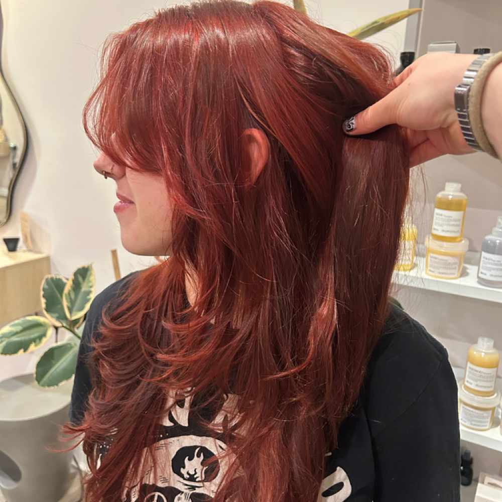All Over Color at Cuts By Cookie in Glendale, CA