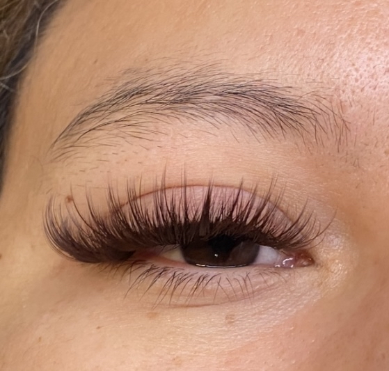 Full Set Of Brown Add On