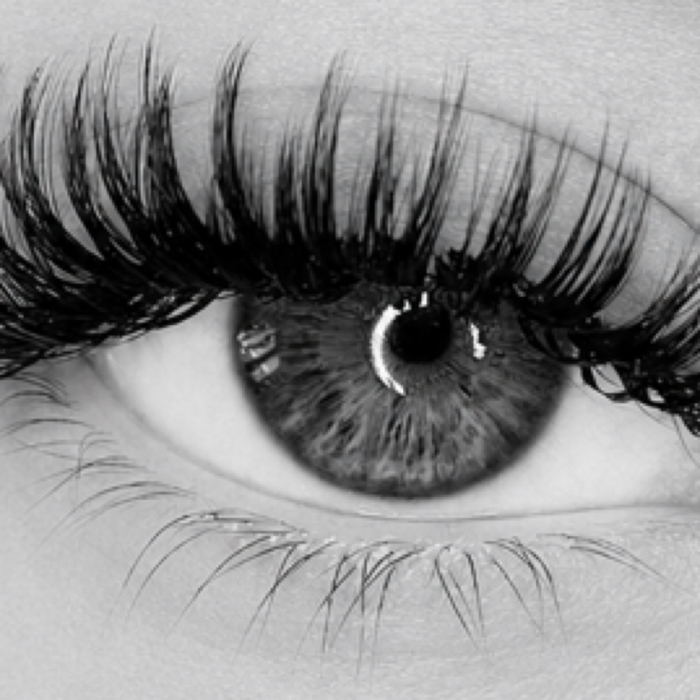 Wet Set Fill at Luxe Lash Studio by Mimi in Wilmette, IL