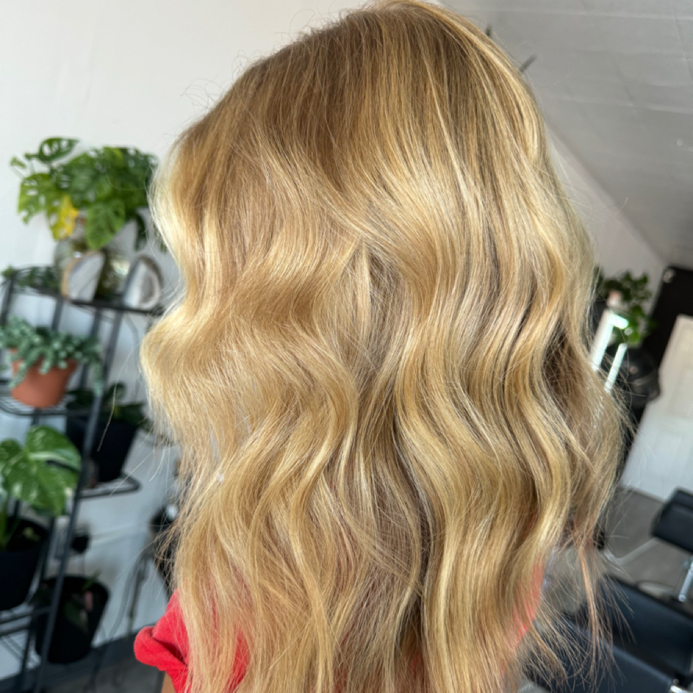 Partial Highlight and Haircut at Brandi Skyy in Wheat Ridge, CO