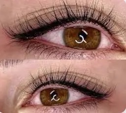 Natural Upper Eyeliner