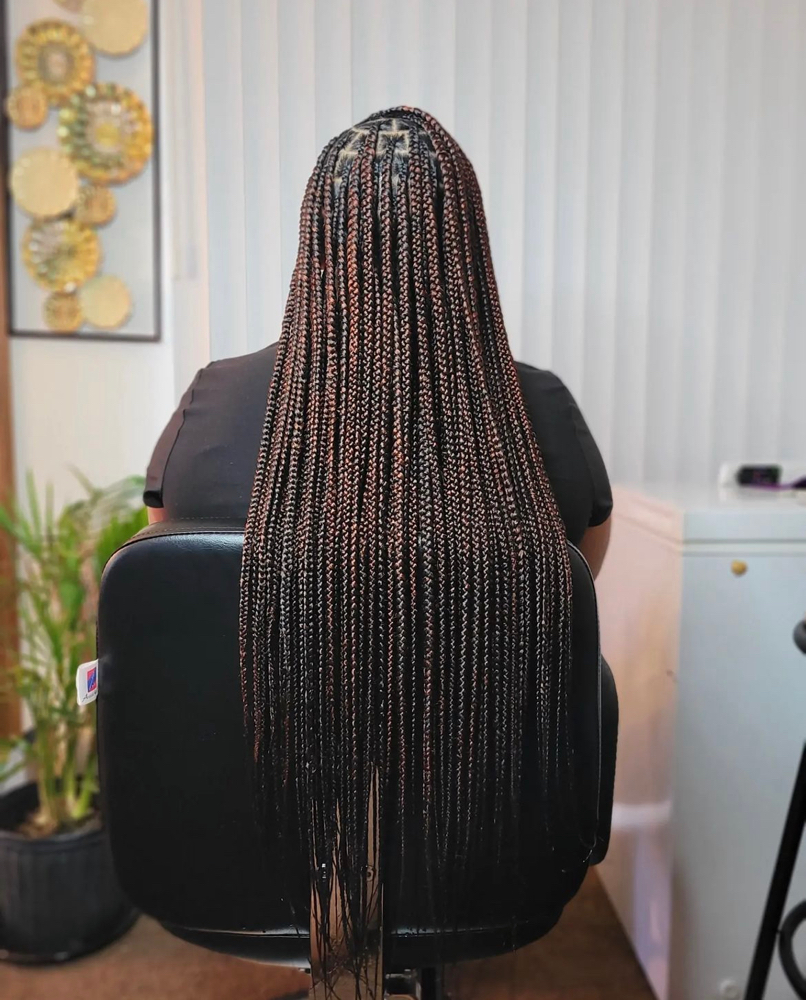Knotless/Box Braids (med. Butt L)