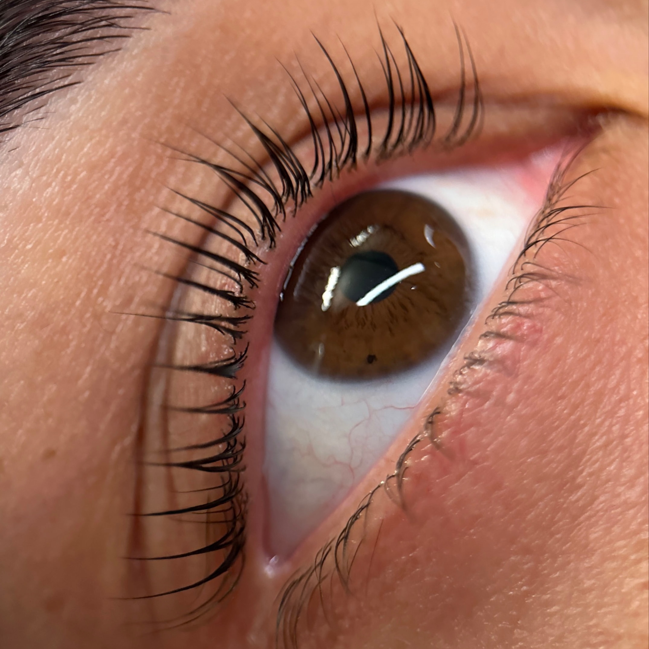 Classic Lash Lift at Carly Artistry in Addison, TX