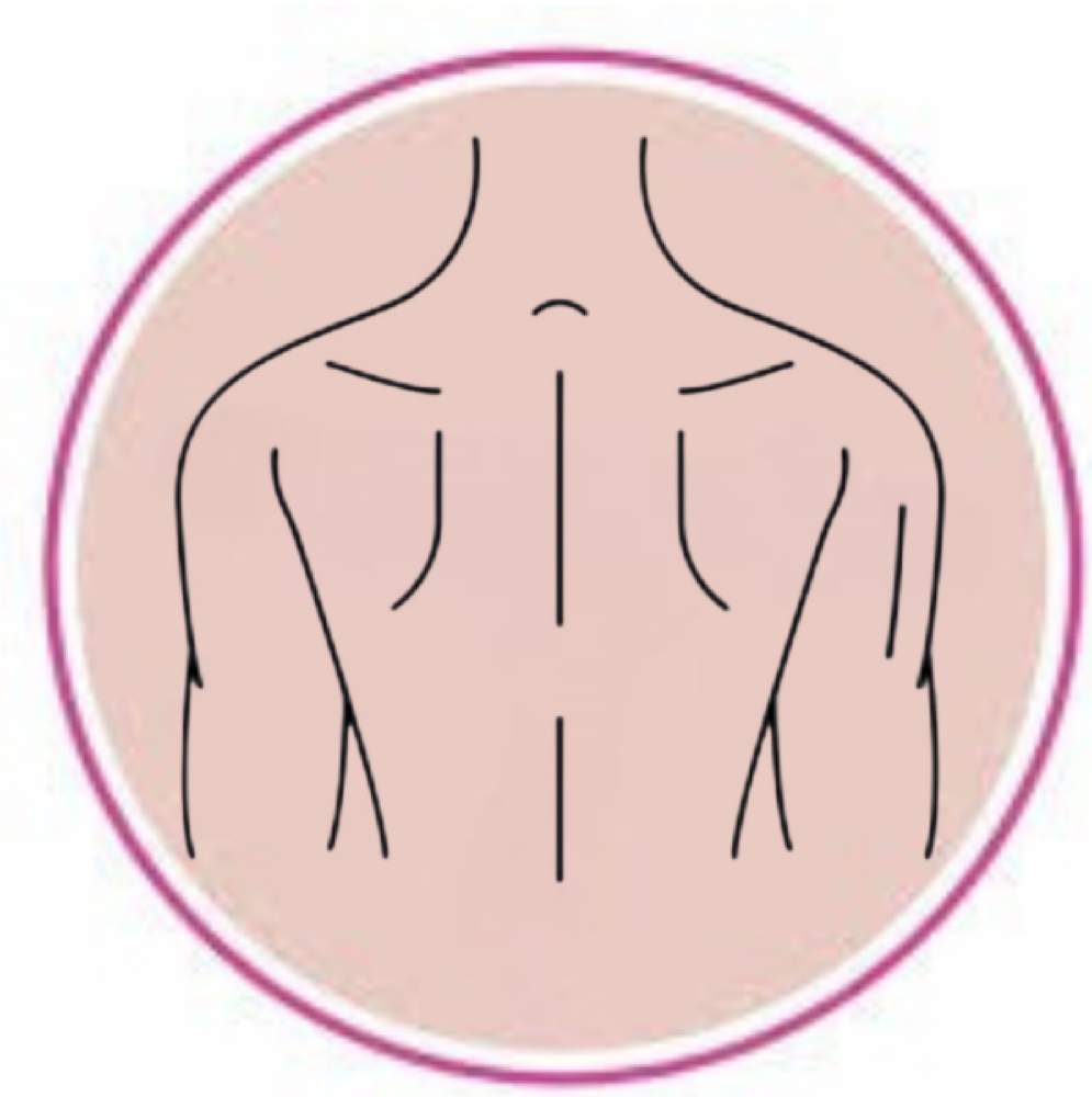 Mens Full Back at Cheeky Monkey Wax Studio in Haddon Township, NJ