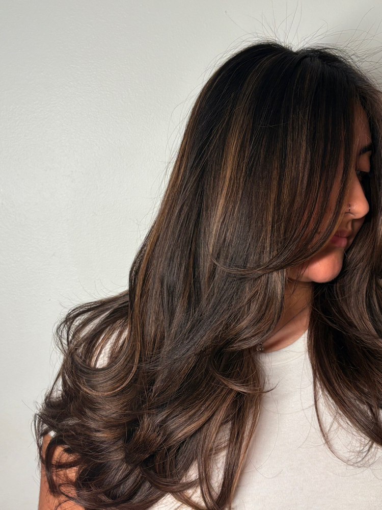 Highlights