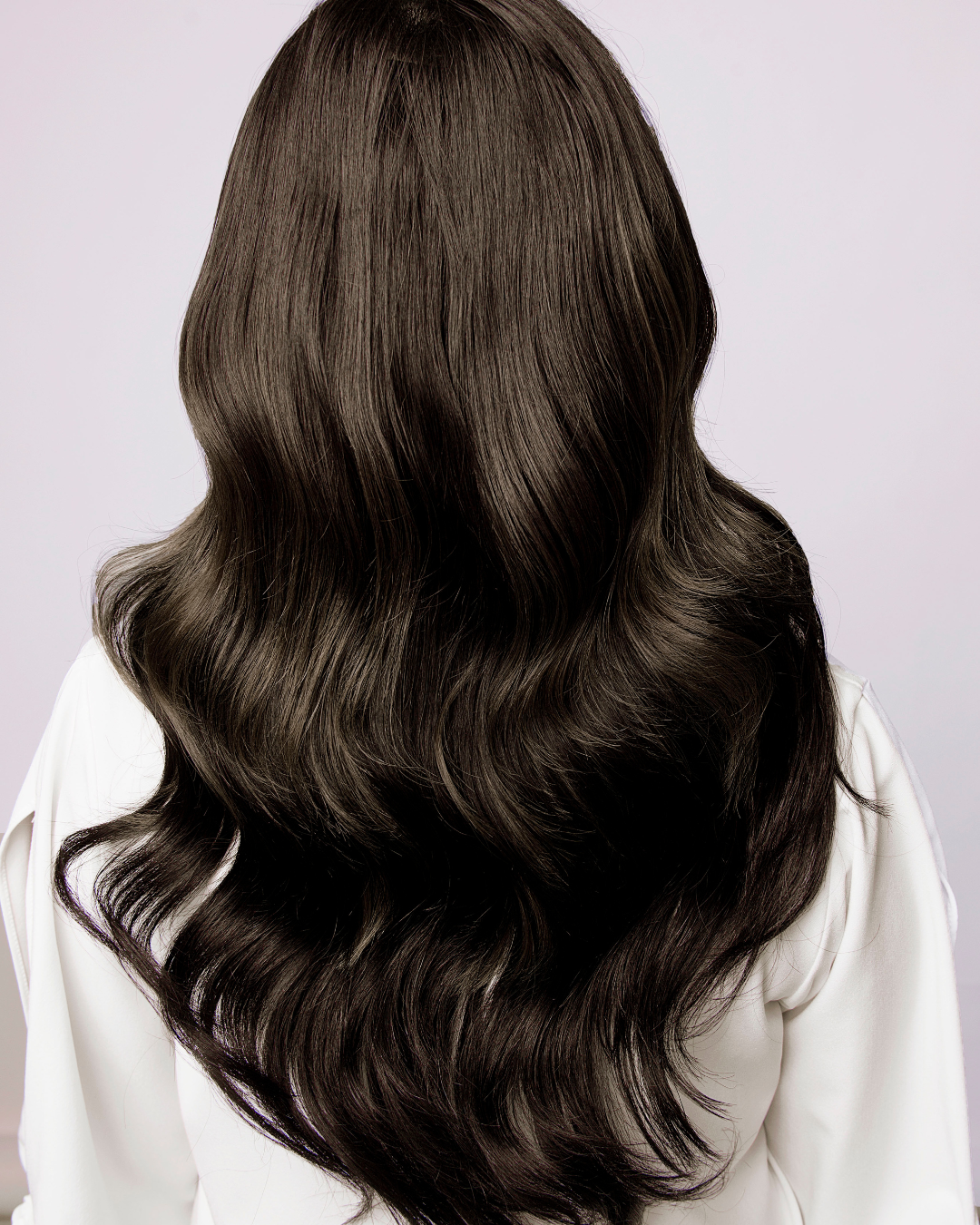 Polished Refresh – Classic Color