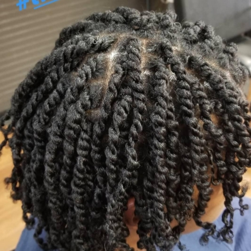 2 Strand Twist at SILKPRESUR in Columbus, OH