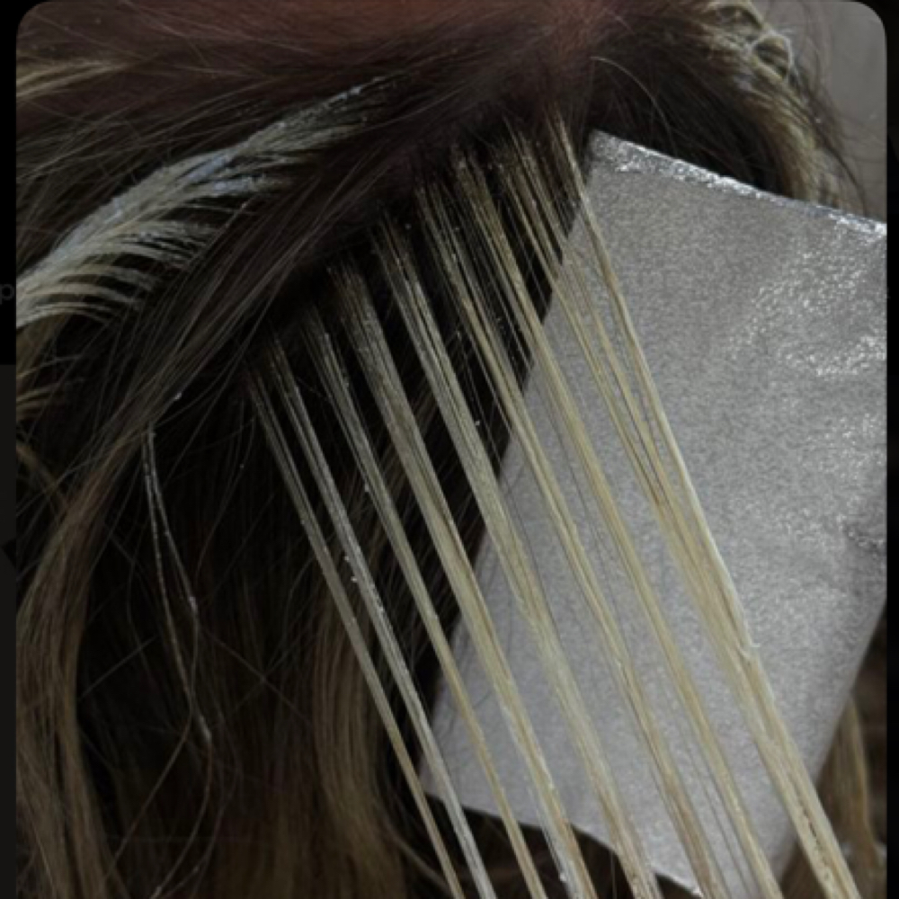Mini Foil at Blossom & Mane in Crown Point, IN