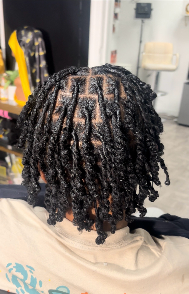 Two Strand Starter Loc