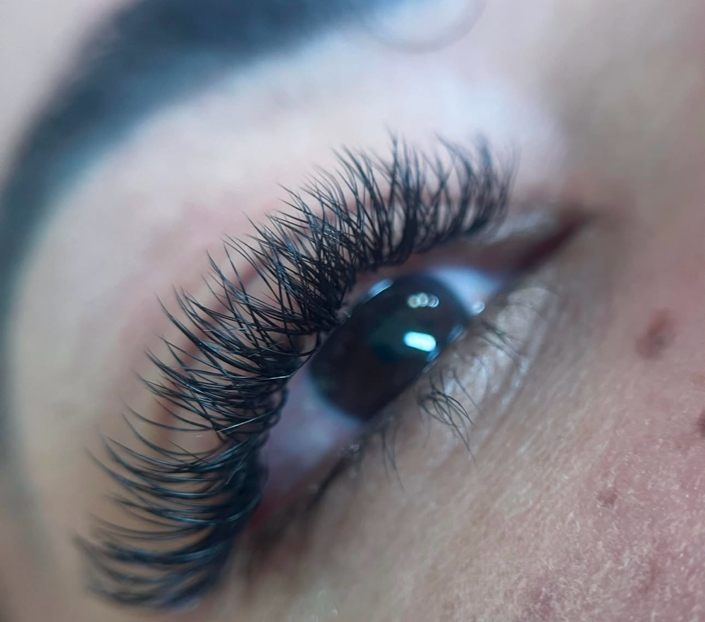 Classic Lashes (Paradise)
