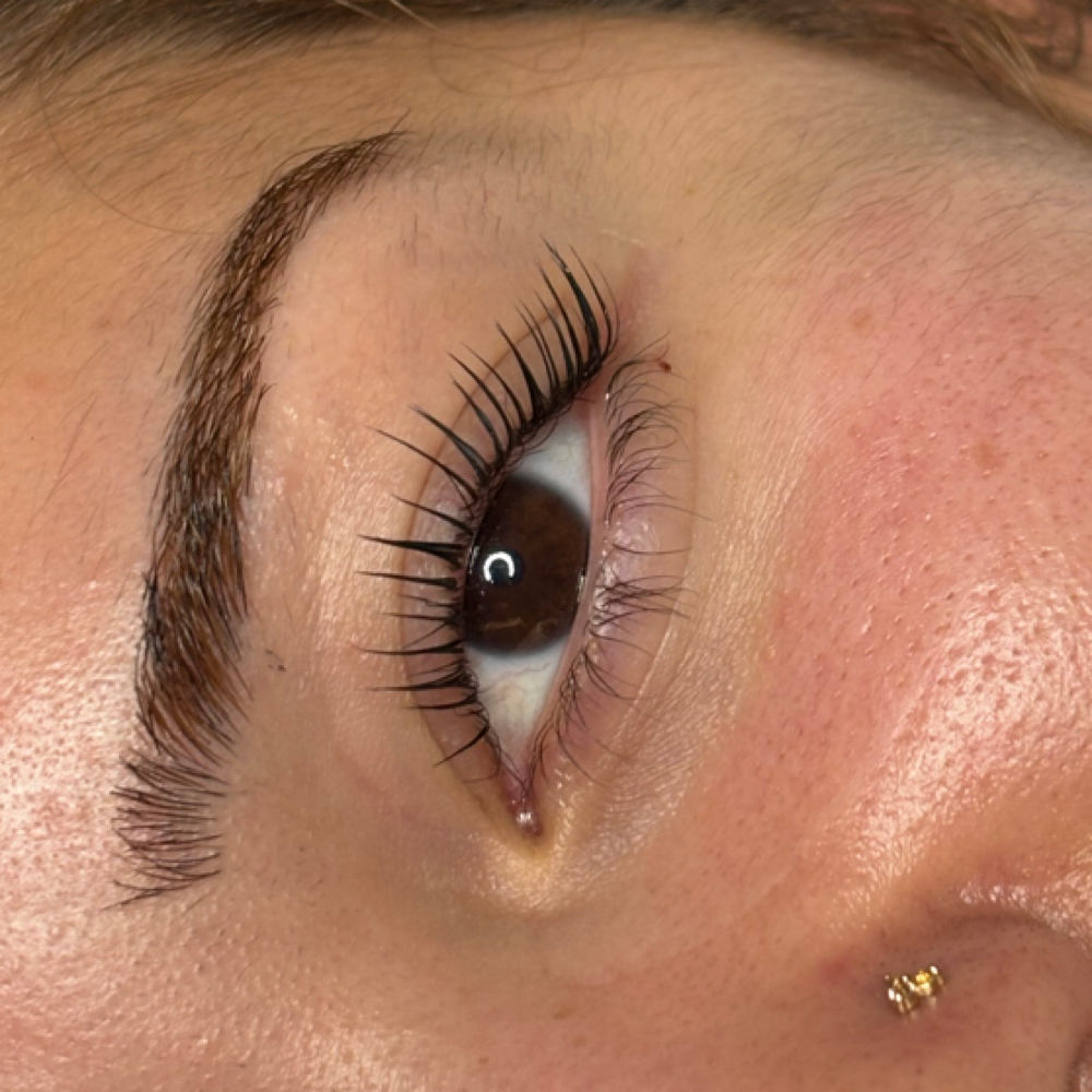 Lash Lift And Tint at The Beauty Space in Pinellas Park, FL