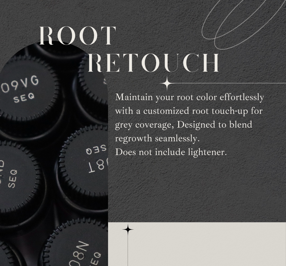 Root / Grey Touch-Up at Leslie Aileen Hair in Plano, TX