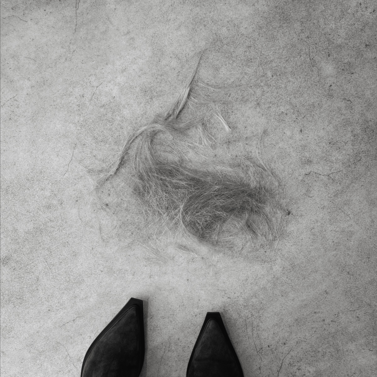 Women’s Dry Haircut