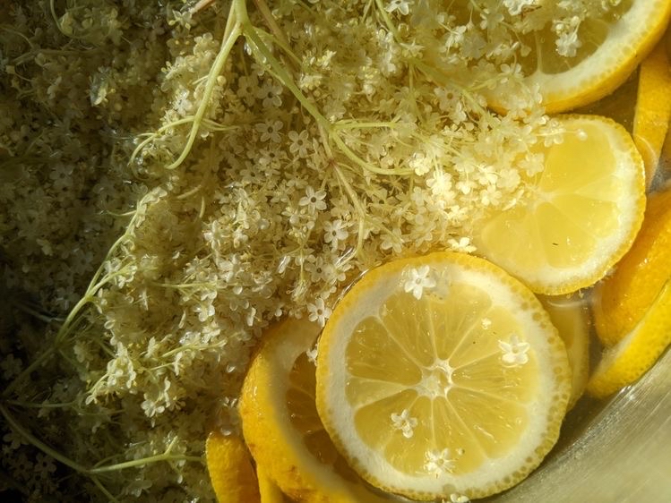 The Lemon Facial • Anti-aging