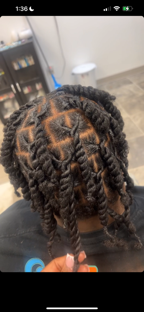 Two Stran Twist (No Locs & Dreads)