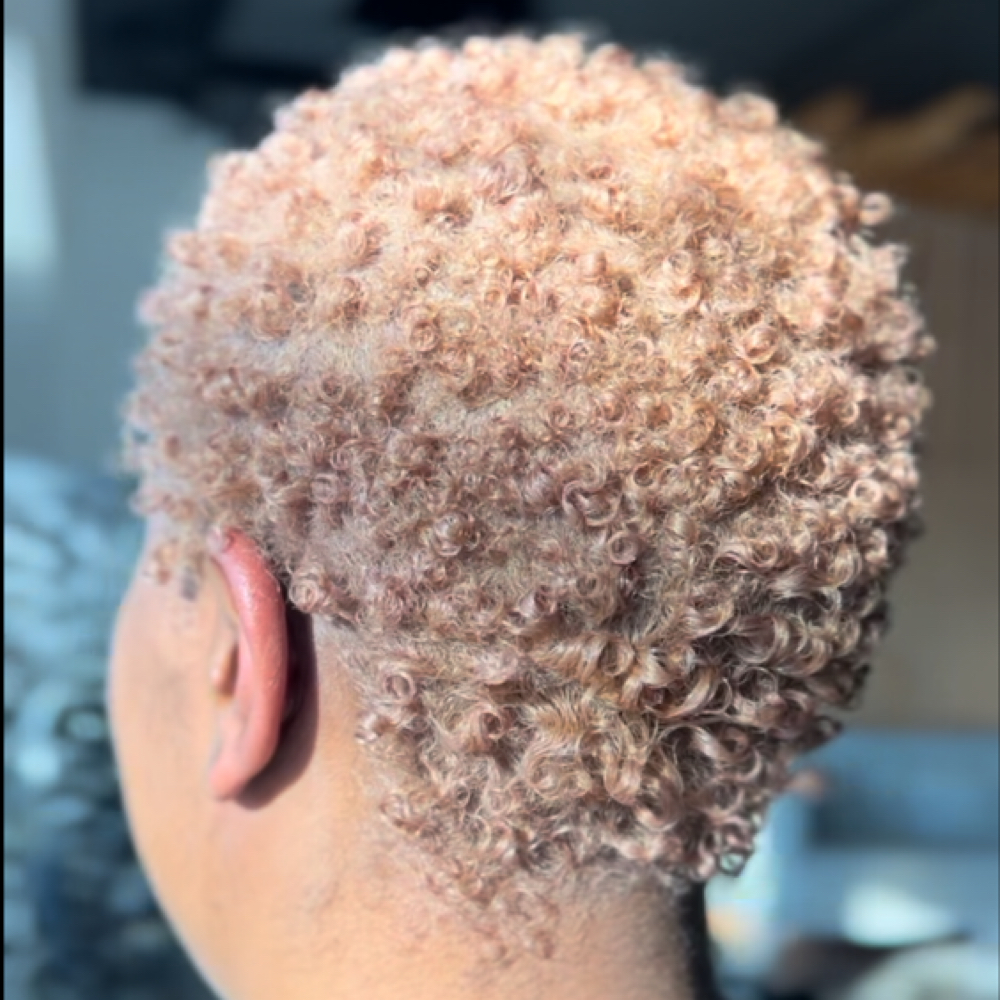 Crown Care: Short Hair at Love, Kayli Nicole in Alexandria, VA