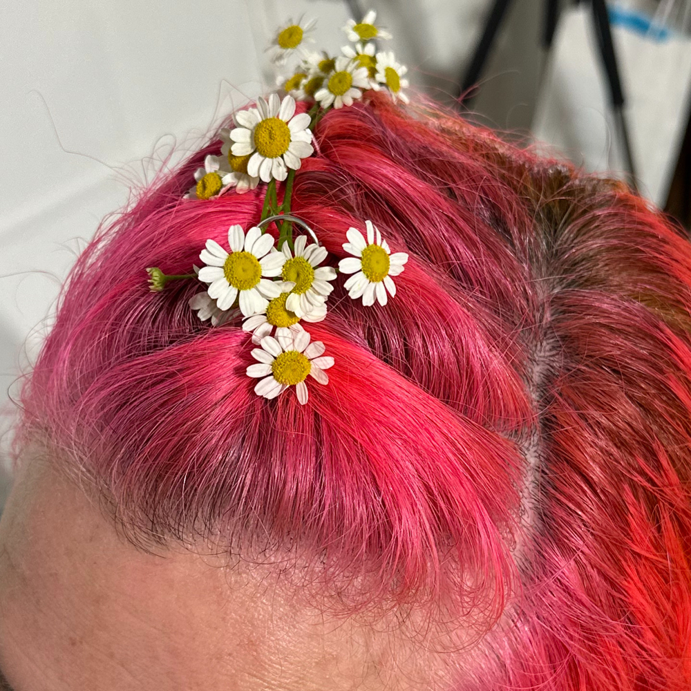 Braids, Festivals & Events