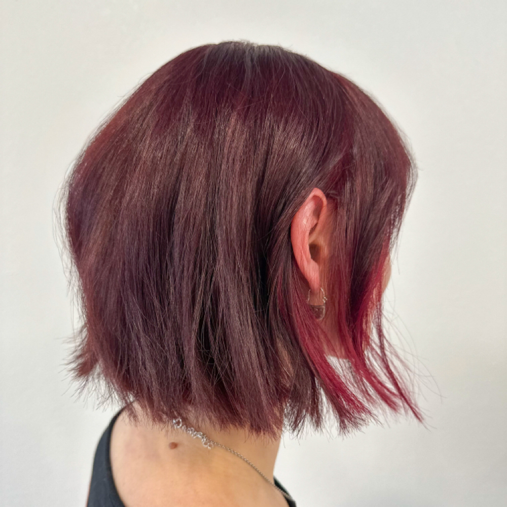 RETURNING GUEST HAIRCUT at Sunny & Cherry Hair Co. in Southlake, TX