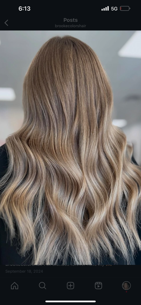 Root Touch Up