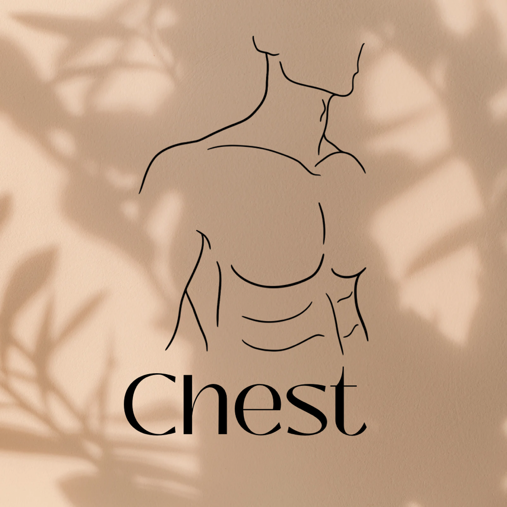 Chest