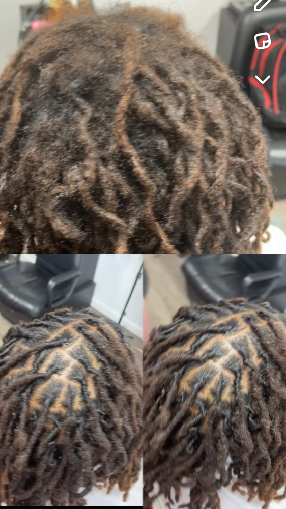 Dread Retwist (2 Week Touch Up)