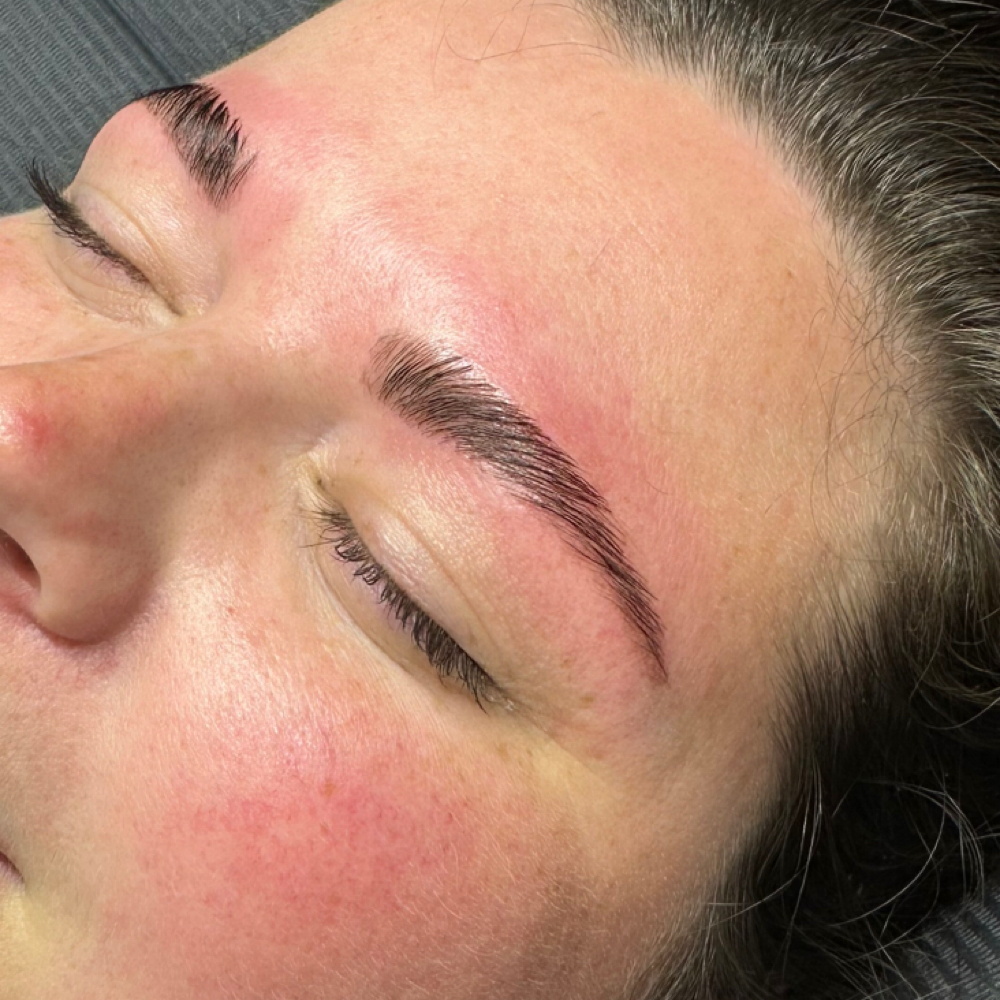 Brow Tint Only at Mantis Lashes in Sault Ste. Marie, MI