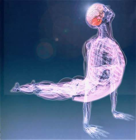 Body Fascia Release Journey at Pivot Body and Soul in Enid, OK