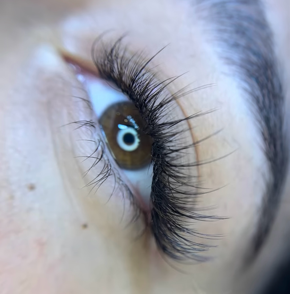 Hybrid Lashes - Full Set