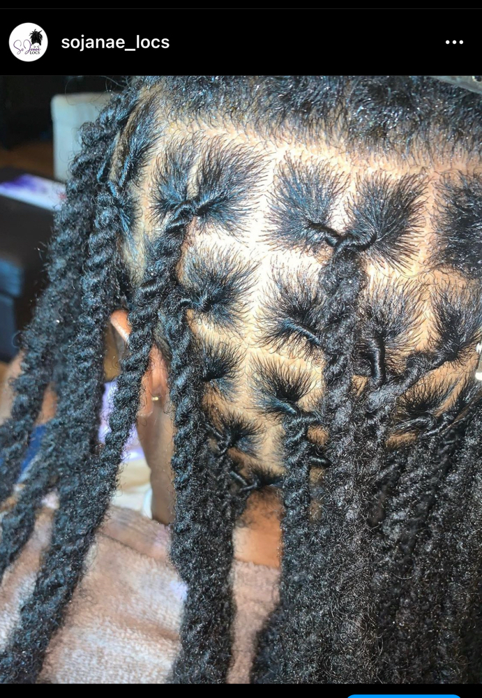 Shampoo, Loc Re-twist, and 2 strand