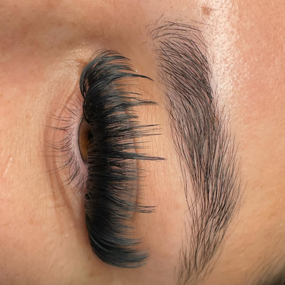 2/3 Week Lash Fill at True Volume studio in North Hills, CA